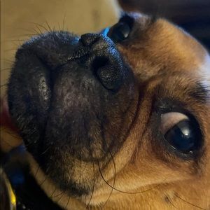 Meet your Posher, Deborah